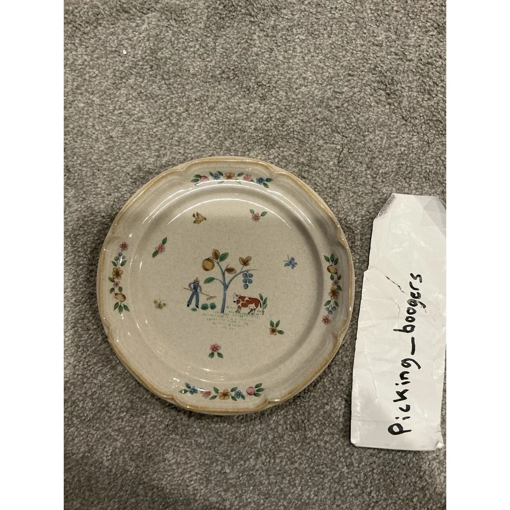 Set of 10 International Heartland Dinner Plate Farmhouse Country Stoneware Sakur